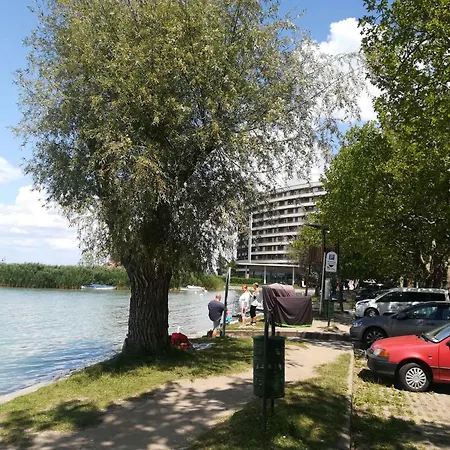 In - Balaton 49198 Daire *